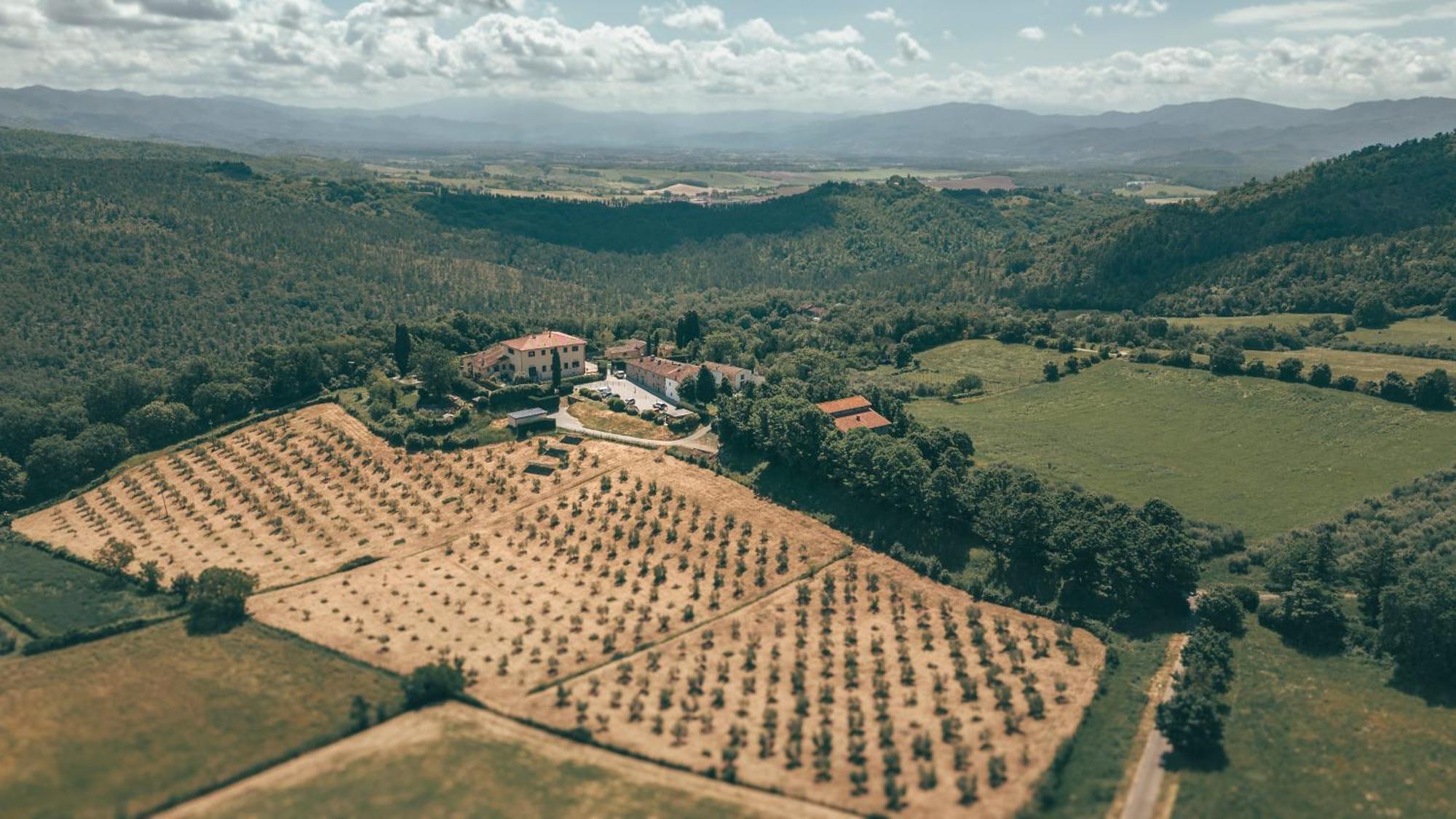 Villa Erbaia Relais De Charme Barberino di Mugello Eksteriør bilde